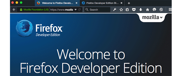image of web page for Firefox Developer Edition